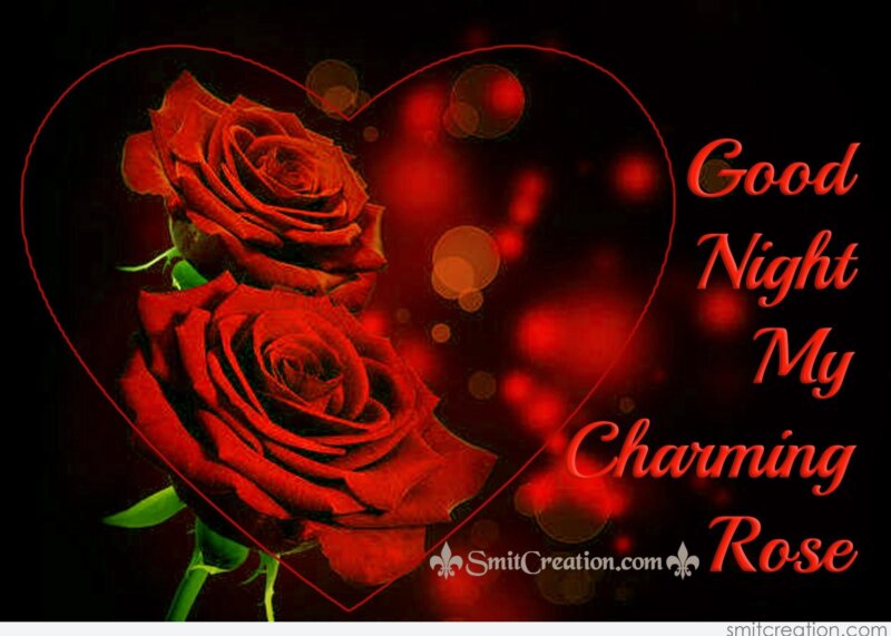 Good Night My Charming Rose - SmitCreation.com
