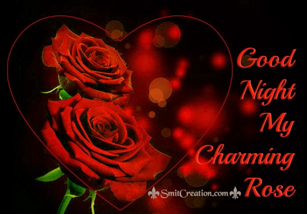 Good Night My Charming Rose