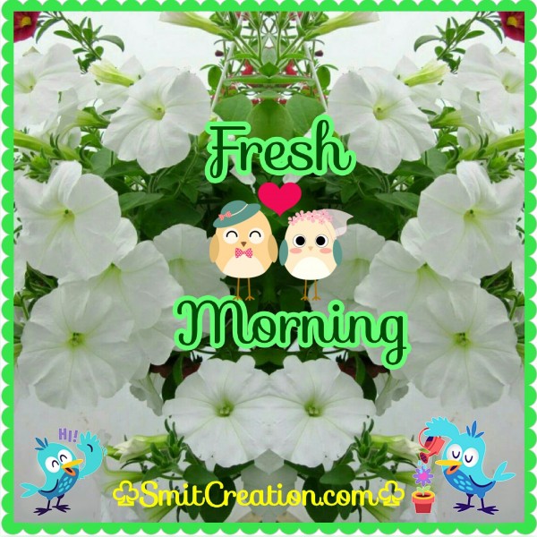 Fresh Morning