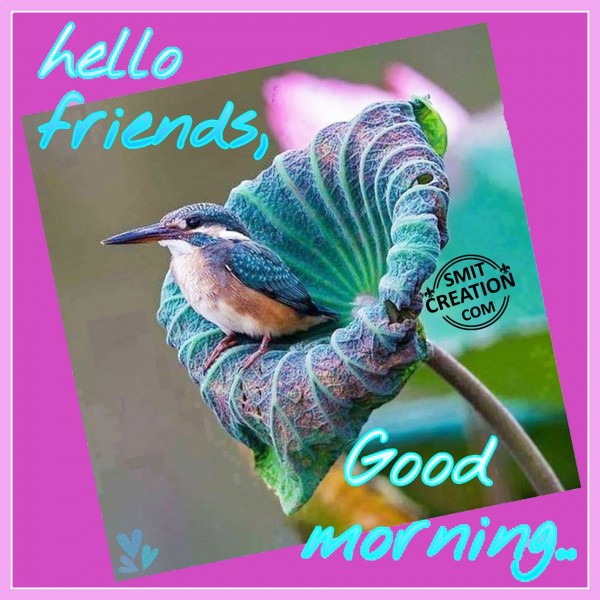 Hello Friends, Good Morning
