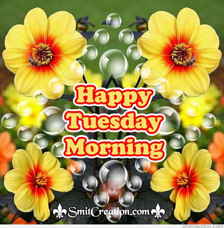 Happy tuesday картинки