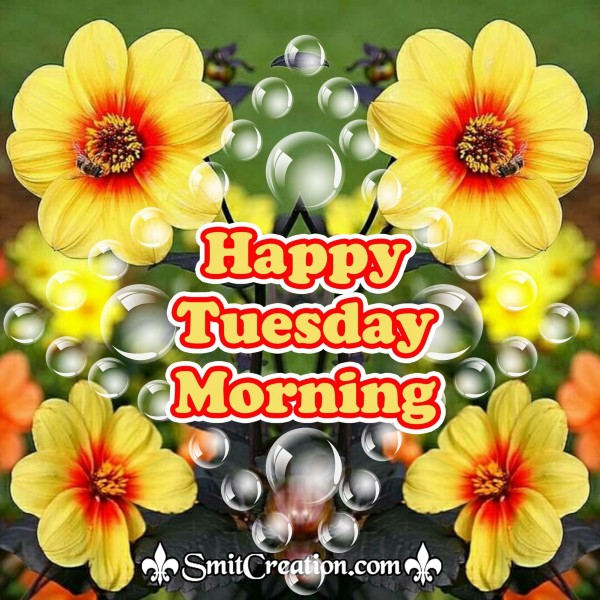 Happy Tuesday Morning