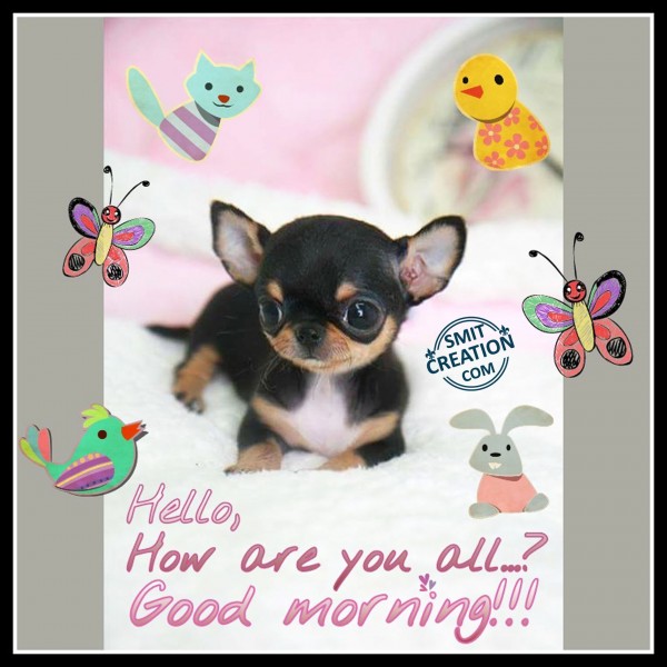 Hello, How are you all? Good Morning!!!