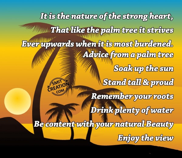 Advice from a Palm Tree