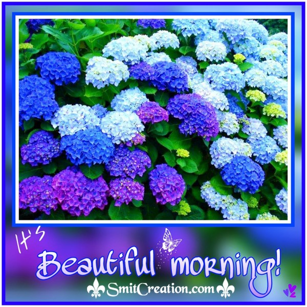 It’s Beautiful Morning