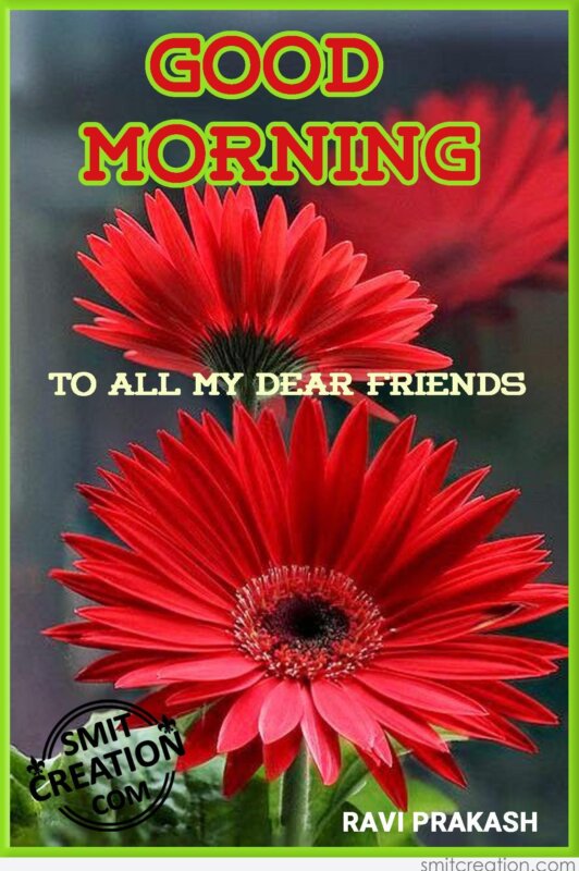 Good Morning Friend Flowers