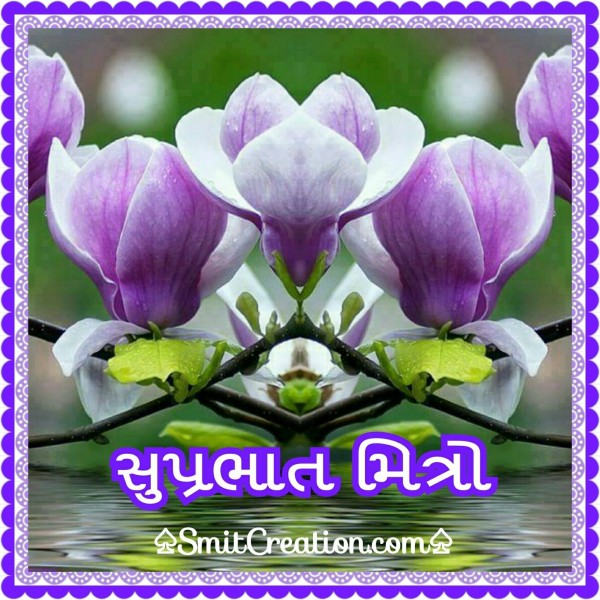 Shubh Savar Flower Image