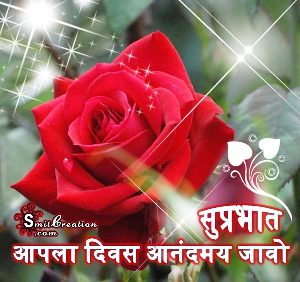 Shubh Sakal Flower Images ( शुभ सकाळ फुलांचे इमेजेस )