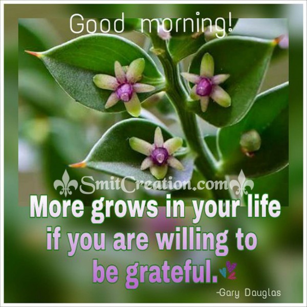 Good Morning – More grows in your life