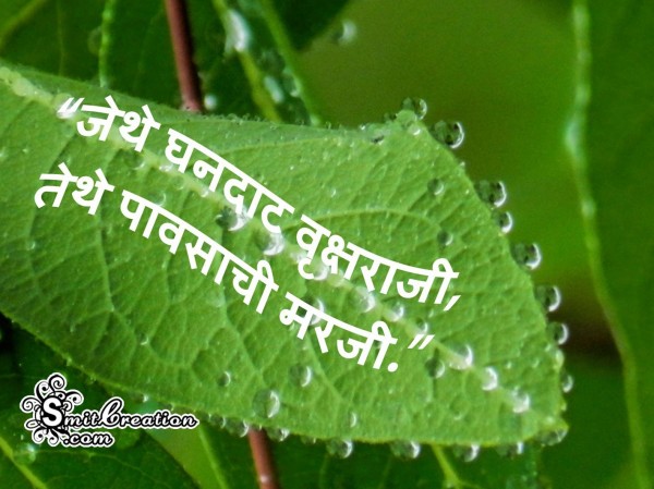 Environment Day In Marathi