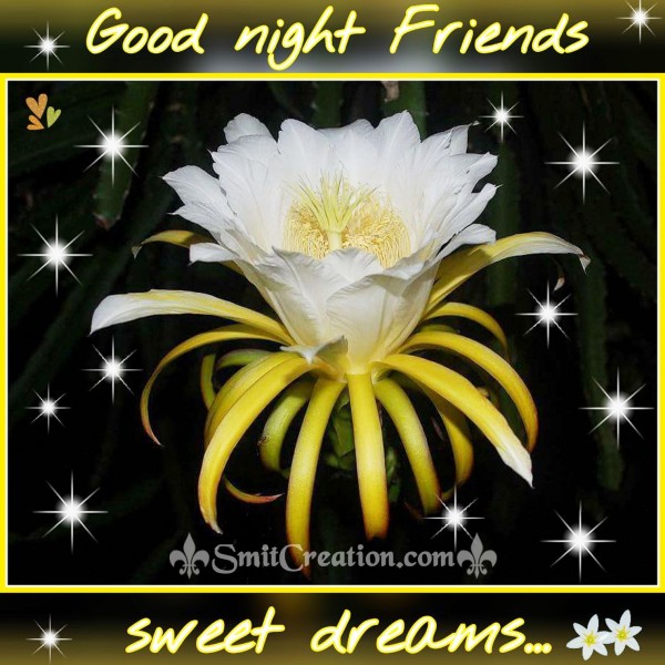 GOOD NIGHT FRIENDS… SWEET DREAMS