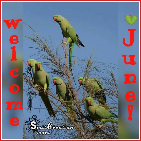 Welcome June