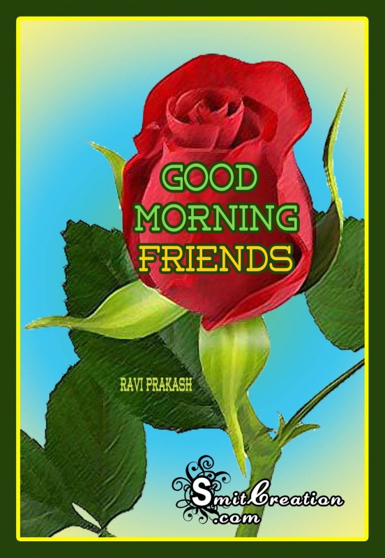 Good Morning Wishes Rose