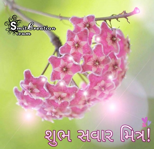 Shubh Savar Mitr