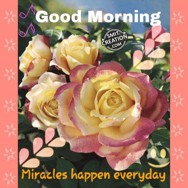 Good Morning – Miracles happen everyday