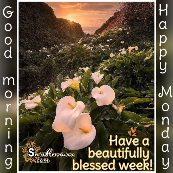 Good Morning – Happy Monday – Have A Beautiful Blessed Week