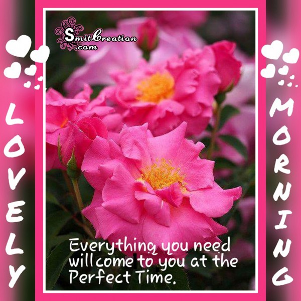 Lovely Morning – Everything you need will come to you atthe perfect time