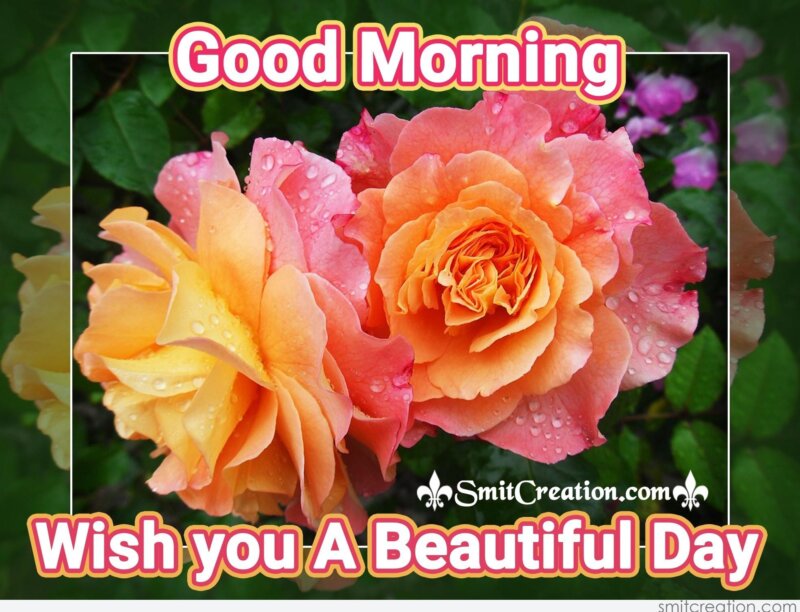 Good Morning -Wish You A Beautiful Day - Smitcreation.Com