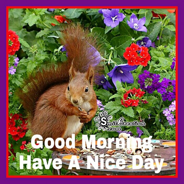 Good Morning – Have A Nice Day
