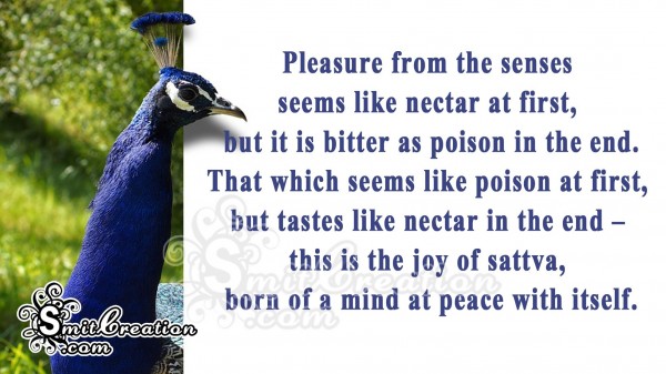 Pleasure from the senses  seems like nectar at first