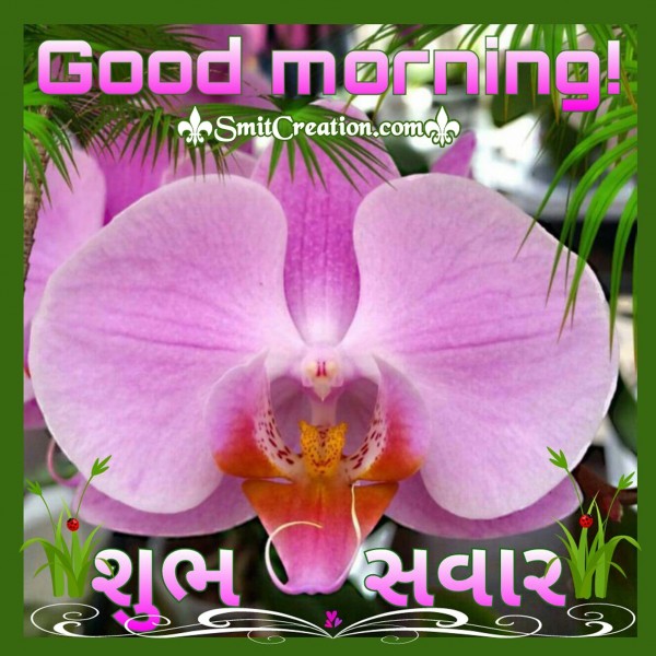 Good Morning – Shubh Savar