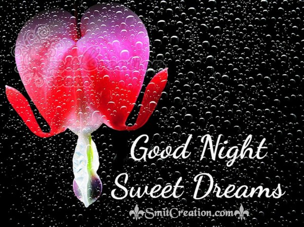 Good Night Sweet Dreams