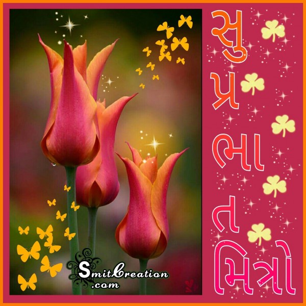 Shubh Savar Flower Image