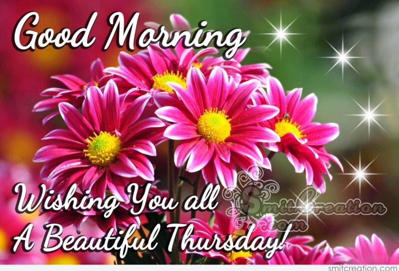 Good Morning Wishing You all A Beautiful Thursday 