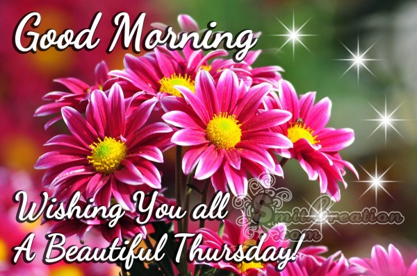 Good Morning Wishing You all A Beautiful Thursday