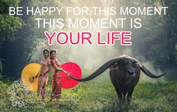 THIS MOMENT IS YOUR LIFE