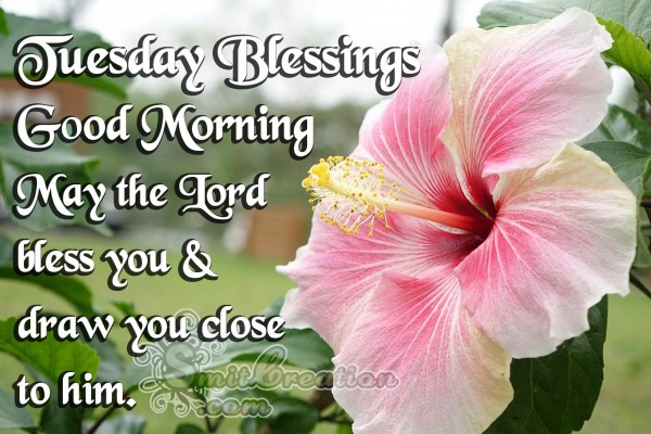 Tuesday Blessings