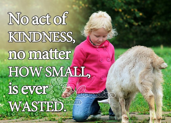 No act of kindness, no matter how small, is ever wasted.