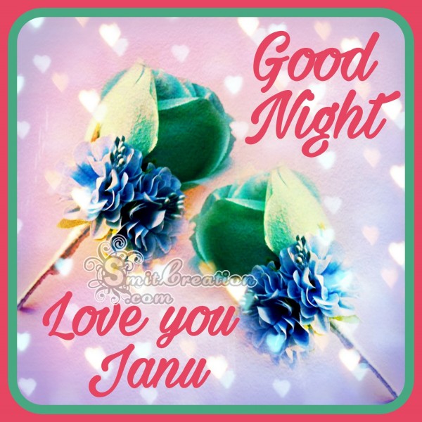 Good Night Love You Janu