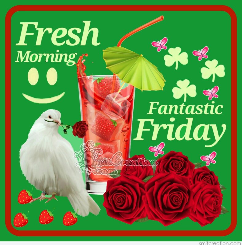 Fresh Morning – Fantastic Friday - SmitCreation.com
