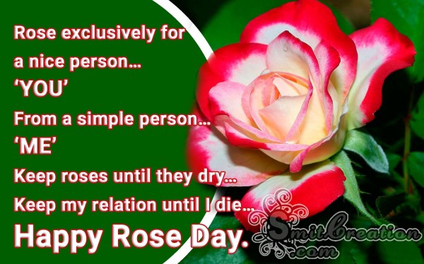 Rose exclusively for a nice person – Happy Rose Day