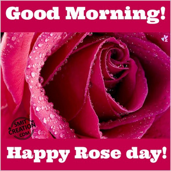 Good Morning Happy Rose Day