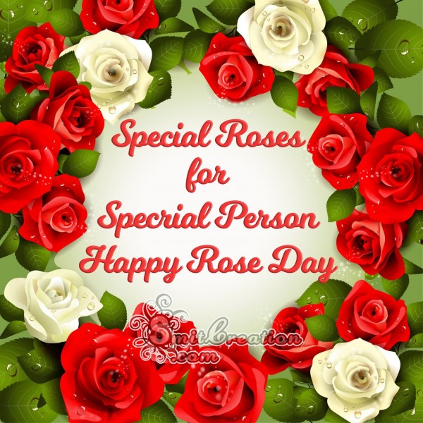 Special Roses for Special Person Happy Rose Day