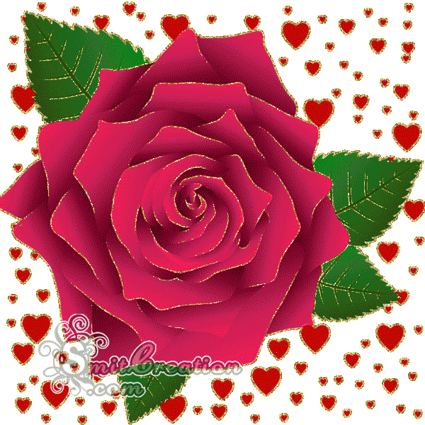 Rose Sparkling Animated Gif Image