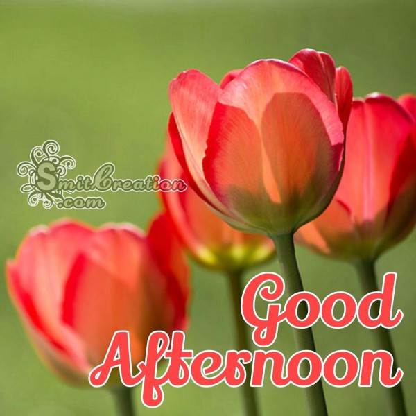 Good Afternoon Flower