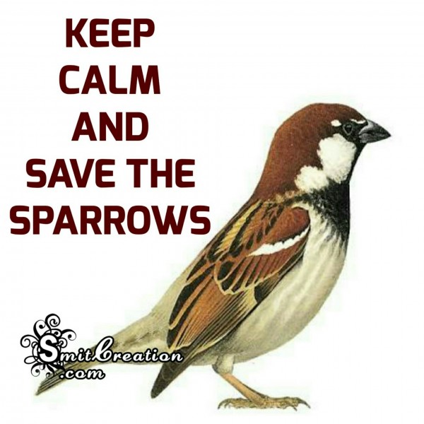 Keep Calm and Save The Sparrows
