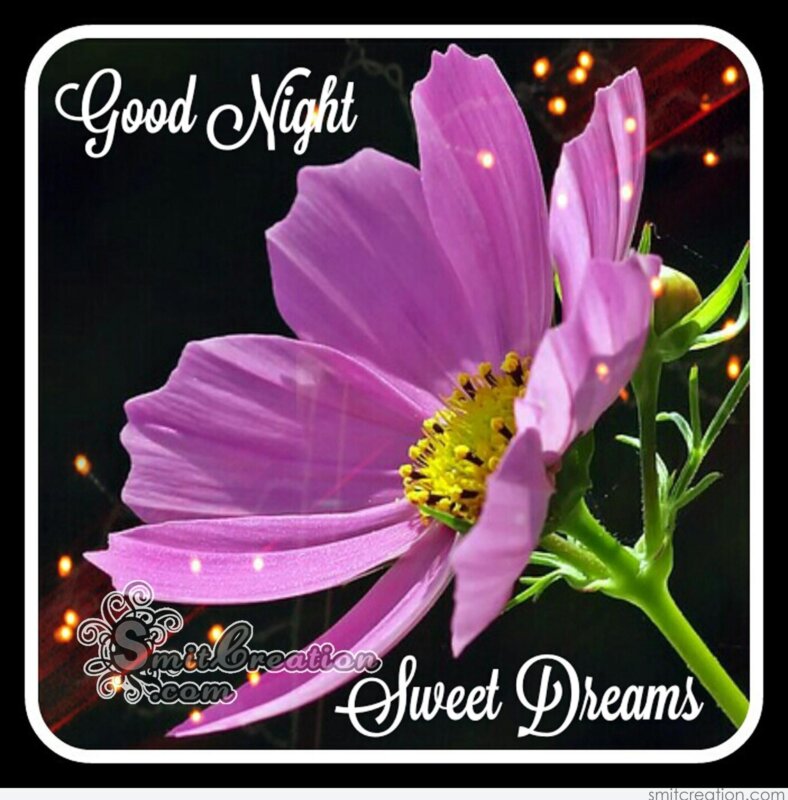 Good Night Flower Pictures and Graphics - SmitCreation.com - Page 2