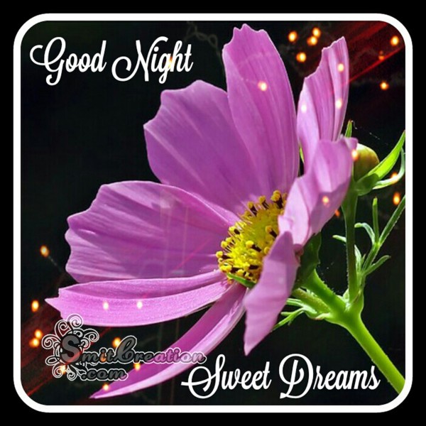 Good Night Sweet Dreams