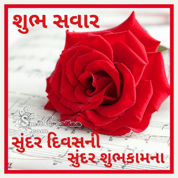 Shubh Savar Flower Image