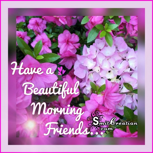 Have a Beatiful Morning Friends