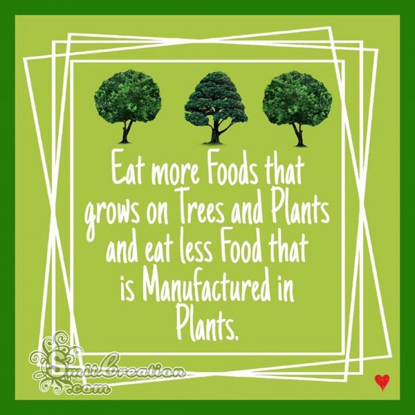Eat More Foods that grow on Trees