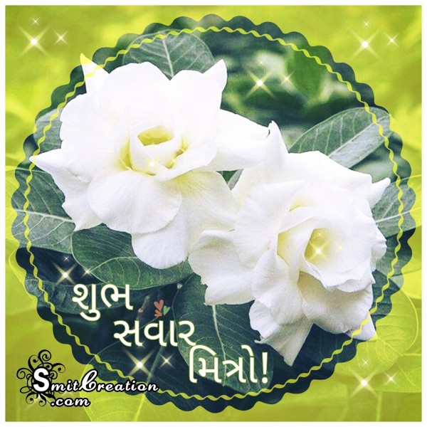 Shubh Savar Flower Image