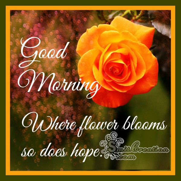 Good Morning – Where flower blooms so does hope.