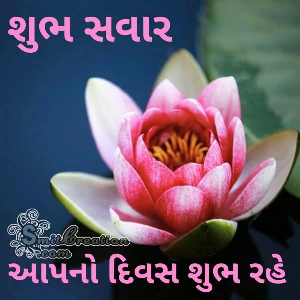 Shubh Savar Flower Image