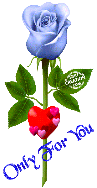 Rose Flower Love Gif Images | Best Flower Site