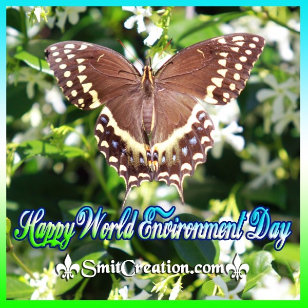 Happy World Environment Day